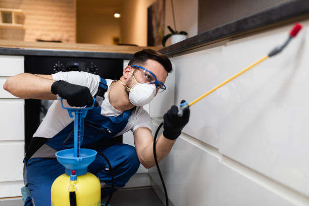 Best Residential Pest Control  in Horse Shoe, NC