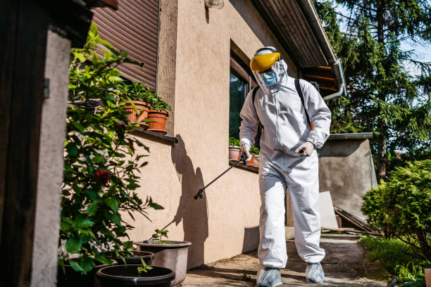Best Best Pest Control Companies  in Horse Shoe, NC