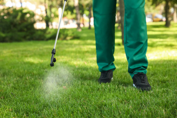 Best Ant Control Services  in Horse Shoe, NC