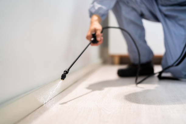 Best Affordable Pest Control Services  in Horse Shoe, NC