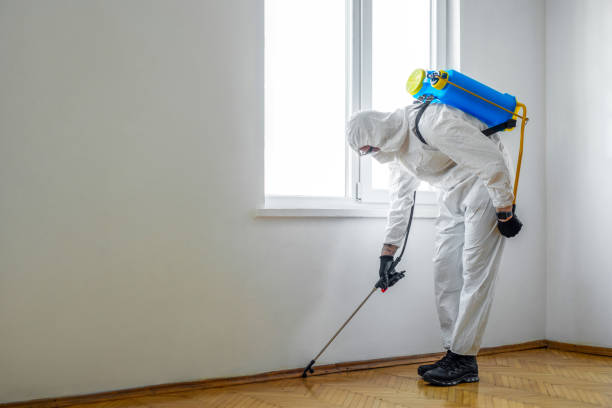 Best Emergency Pest Control  in Horse Shoe, NC