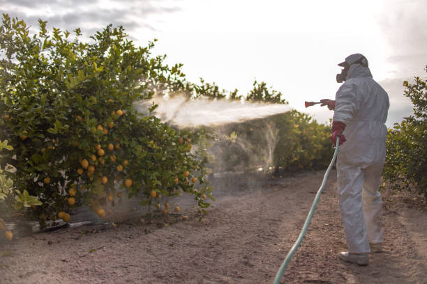Best Local Pest Control Services  in Horse Shoe, NC