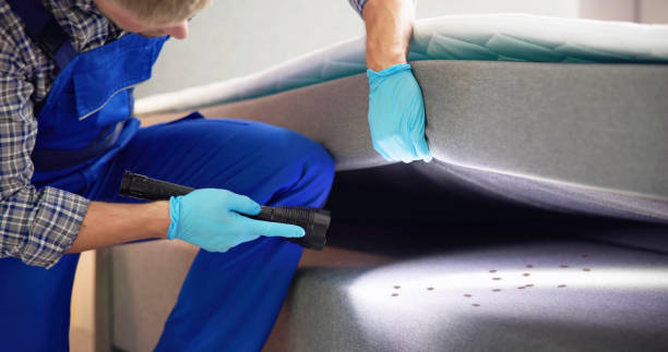Best Best Pest Control Companies  in Horse Shoe, NC