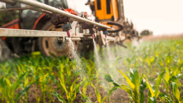 Best Mosquito Control Services  in Horse Shoe, NC